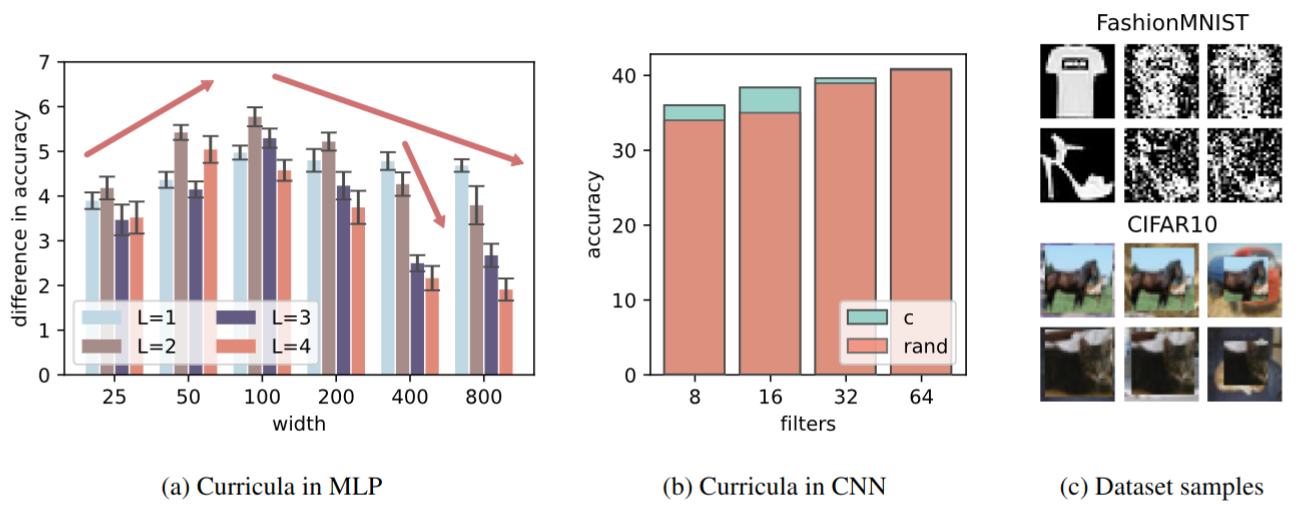 Overparameterisation interplay with curriculum learning